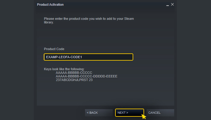 Aktivierung auf Steam. Schritt 3