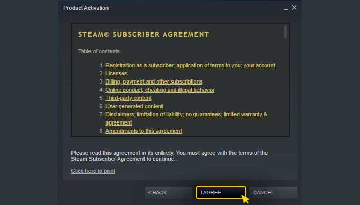Aktivierung auf Steam. Schritt 2.2
